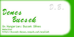 denes bucsek business card